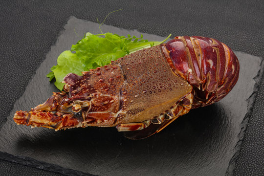 Raw Langust or Tiny Lobster