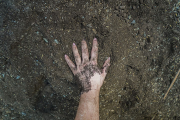A person with a new gardening  agriculture Hobbie due to the Corona Virus Quarantine 