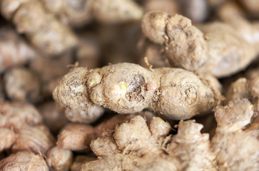 Ginger root on the counter in the market.