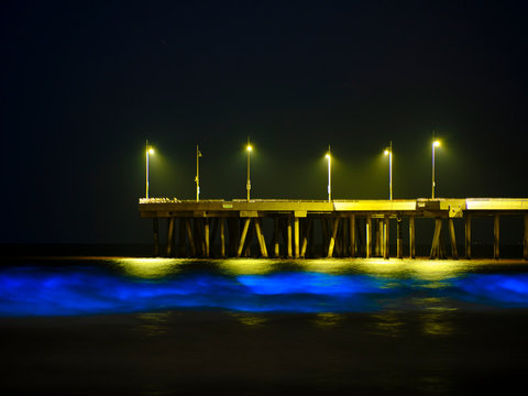 Glow in the dark waves at Venice Beach