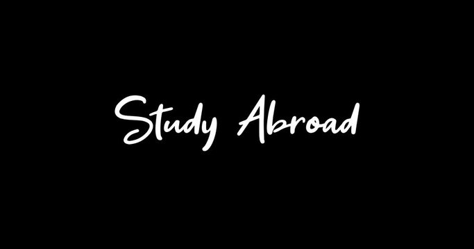 Study Abroad White Color Cursive Font Transition on Green Background Stock Video