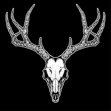 deer skull with isolated background. vector illustration for tattoo, printing on t-shirts, posters and other items. animal skeleton drawing. wildlife tattoo symbol design.