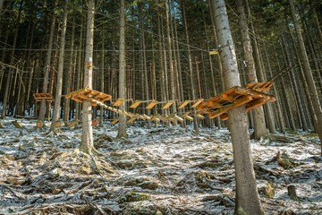 Sky walk in the forrest. Rope or monkey park in winter.