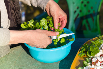 hands with knife preparing, fresh salad