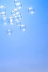 Soap bubbles isolated on blue background
