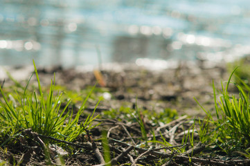 Green grass on background from blurred river