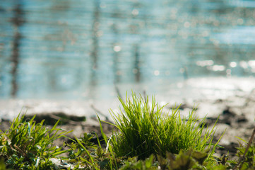 Green grass on background from blurred river