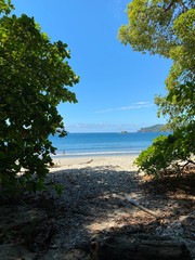 A paradise beach with some trees at the Costa Rican Pacific with fine sand, turquoise blue water
