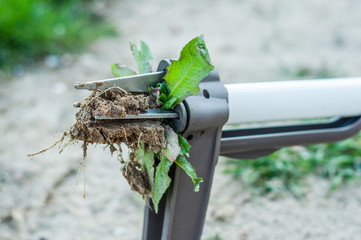 Hand garden tools for pulling weeds from the lawn.