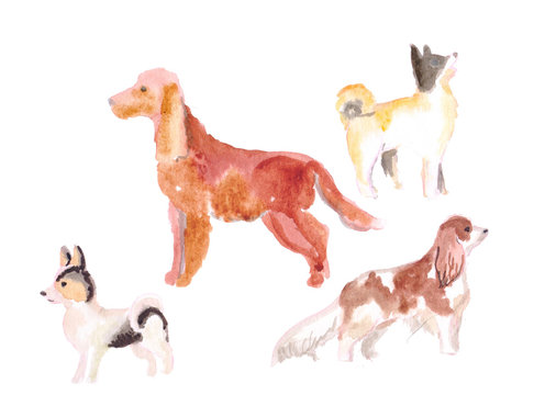 set of medium dogs, spaniel. watercolor can be used for printing on fabric, clothing, printing on orthotcards, booklets, web