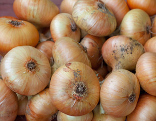 Onion bulbs bunch. Close-up.