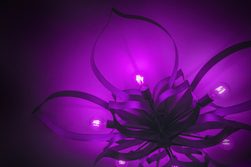 abstract purple floral lighting
