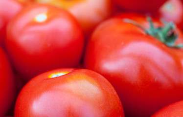 Red ripe juicy tomatoes