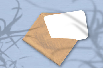 An envelope with a sheet of textured white paper on the soft blue background of the table. Natural light casts shadows from the aloe. Horizontal orientation