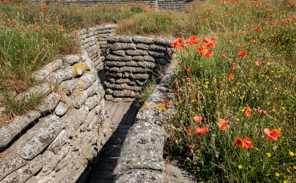 World War I trenches known as Dodengang (Trench of Death) surrounded by poppies. Located near Diskmuide, Flanders, Belgium