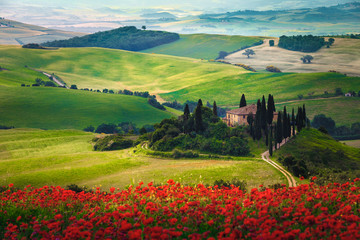 Fototapeta na wymiar Rural landscape and flowery fields with red poppies, Tuscany, Italy