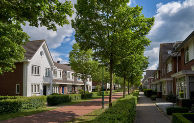 Residential street in the Netherlands with wide cycle lane, green hedge, sidewalk and no cars....