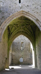 The Rock of Cashel, also known as Cashel of the Kings and St. Patrick's Rock, is a historic site located at Cashel, County Tipperary, Ireland.