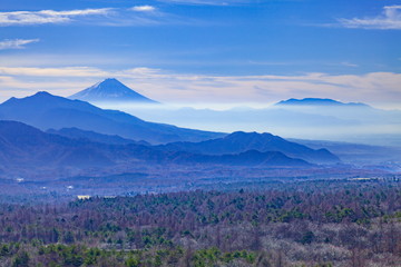 Obraz premium 美し森から眺める富士山と金ヶ岳、山梨県北杜市清里にて