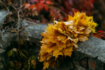 yellow maple leaves on a stone wall
