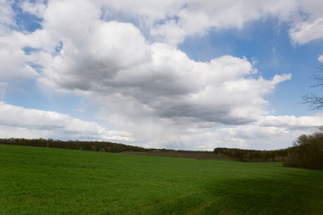 green field with growing trees under the clouds in the blue sky