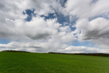 Fototapeta na wymiar green field with growing trees under the clouds in the blue sky