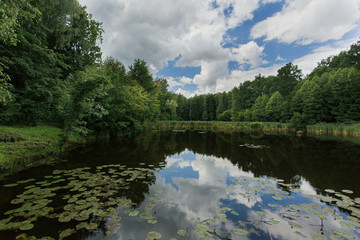 lake located in a green forest and blue sky