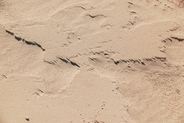 sand dune texture close-up, can be used for both background and calendars.