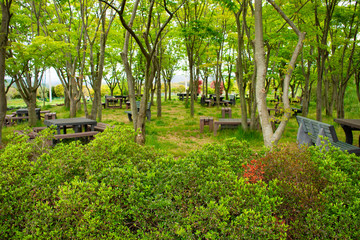 ベンチが並ぶ公園