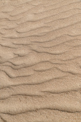 sand dune texture close-up, can be used for both background and calendars.