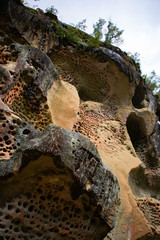 高池の虫喰