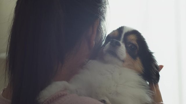 Close up happy asian woman cuddle, kiss and smile with pet chihuahua dog at home in dog lover concept in social distance quarantine activity at home. Fur baby for child-free or millennial lifestyle.