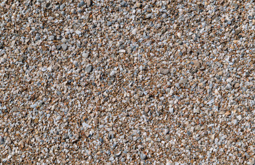 beautiful background of shells close-up, can be used for both background and calendar