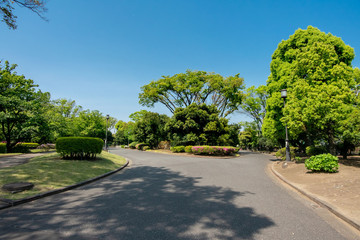 憲政記念公園