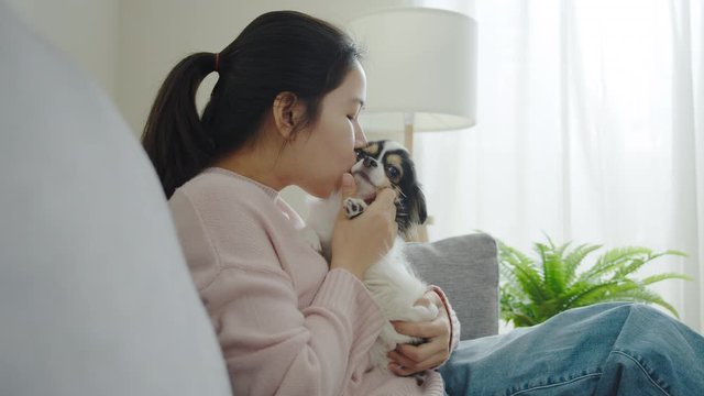 Normal shot happy asian woman cuddle, kiss and smile with pet chihuahua dog at home in dog lover concept in social distance quarantine activity at home. Fur baby for child-free or millennial lifestyle