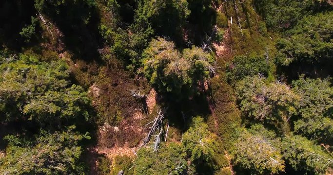 Aerial view of the top of mount Serak where is a tourist wooden cottage