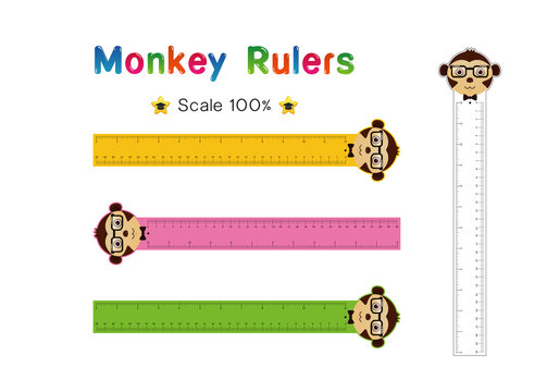 ulers Inch and metric rulers Vector isolated set