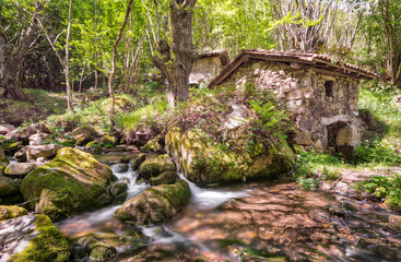 Fototapeta premium Vijo molino en Asturias