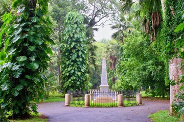Pamplemousses, Mauritius - 28.2.2020 : Sir Seewoosagur Ramgoolam  Botanical Garden - Tropical jungle within a rainy day