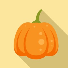 Magic pumpkin icon. Flat illustration of magic pumpkin vector icon for web design