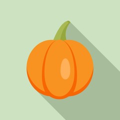 Agriculture pumpkin icon. Flat illustration of agriculture pumpkin vector icon for web design