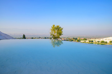 A tree and reflection on the pool at Pamukkale (cotton castle), Denizli, Turkey