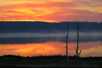 Wschód słońca nad lasem © Dariusz