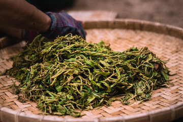 Traditional tea massage by slowly hand massage