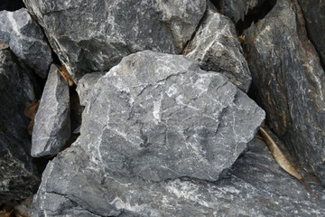 limestone rock specimen on the nature