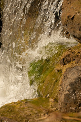 Thornden Park Waterfall and Behind the Falls - The Environment