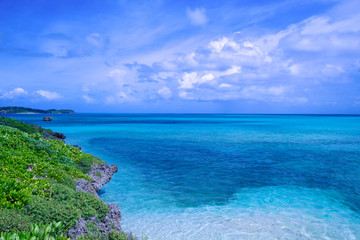 Fototapeta premium 青空と青い海