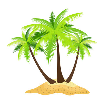 island palm trees isolated on white background