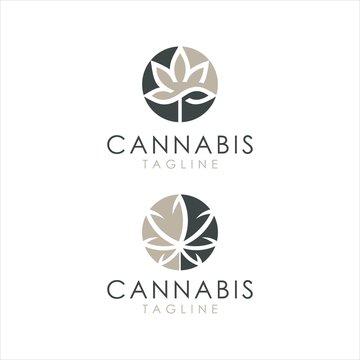 cannabis vector logo design graphic modern template