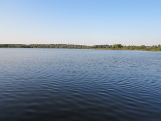     lake horizon with sunset near tree  